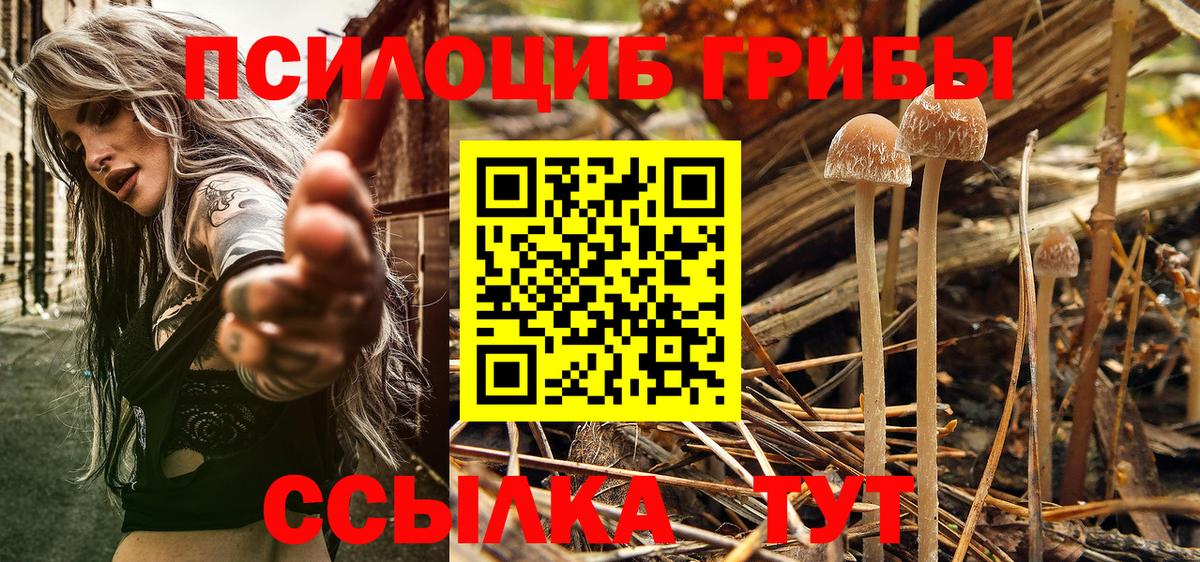Галлюциногенные грибы Magic Shrooms  Вход с VPN  Ростов-на-Дону  Псилоцибиновые грибы Magic Shrooms 